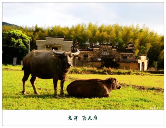 “牛魔王”与“孙悟空”相遇 “牛魔王”与“孙悟空”相遇