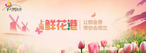 上海鲜花港 让郁金香带你去荷兰 上海鲜花港 让郁金香带你去荷兰