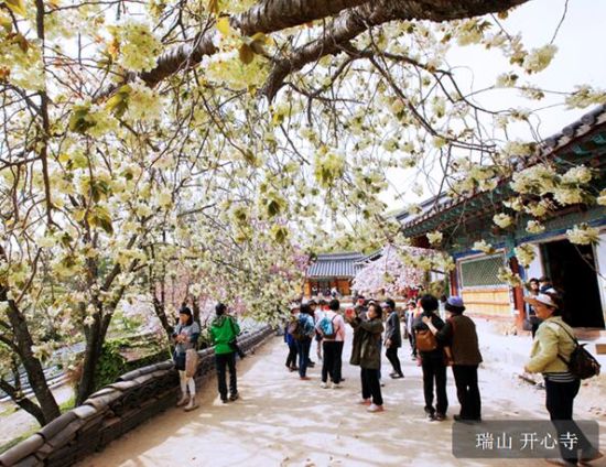 瑞山开心寺 瑞山开心寺