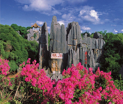 石林风景区 石林风景区