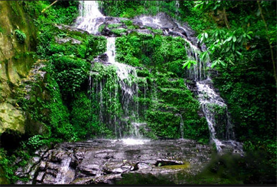大围山上的涓涓流水 大围山上的涓涓流水