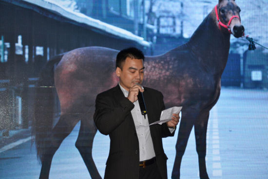 九匹汗血马首次驾临羊城 九匹汗血马首次驾临羊城