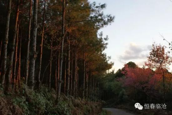 五老山 五老山