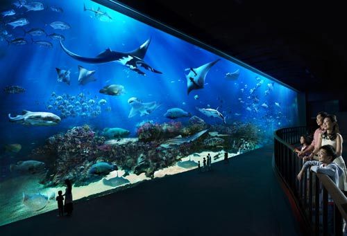 海洋生物园 海洋生物园