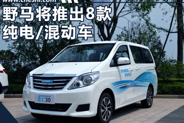 野马将进入产品爆发期 规划推8款纯电/混动车