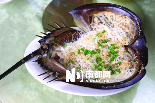 鲎壳蒸粉丝 鲎壳蒸粉丝