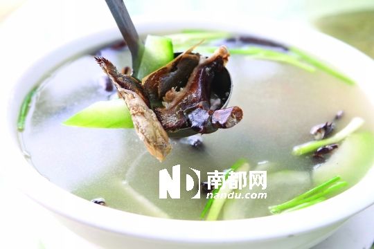 海鲎节瓜汤 海鲎节瓜汤