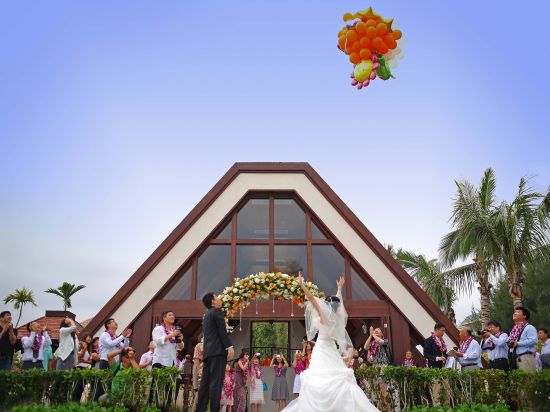 海边草坪婚礼庆典 海边草坪婚礼庆典