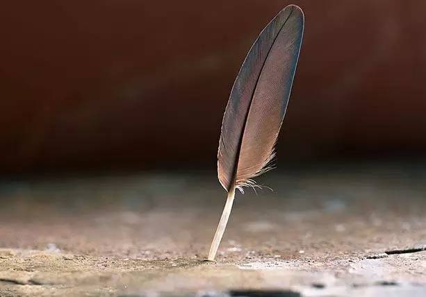 观致的新东家已经入驻 “野蛮人”来袭?