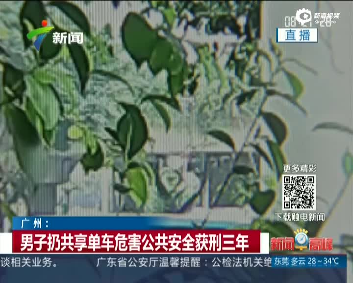 广州：男子扔共享单车危害公共安全获刑三年