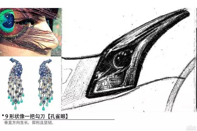 透过我的眼,你看到了谁——画灯猜车(中级车系列)