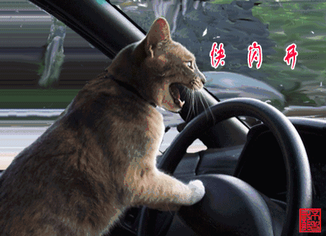 最让人不爽的7种驾驶行为,大家最恨第7个