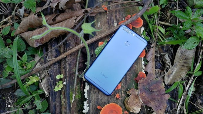 飞跃亚马逊:供灵魂呼吸的地方漫漫长河丛林中