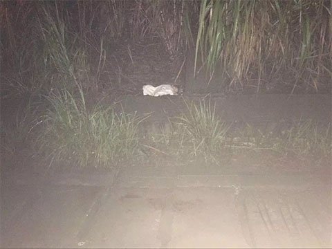 ӤϪŽӽϪ·εʯ·ߡѹͼ