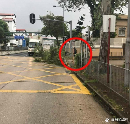 囧哥:热心市民冒台风移树清理路面 走近一看是周润发 囧哥:热心市民冒台风移树清理路面 走近一看是周润发图片