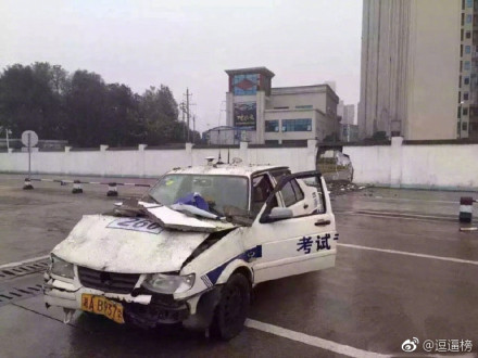 囧哥:热心市民冒台风移树清理路面 走近一看是周润发 囧哥:热心市民冒台风移树清理路面 走近一看是周润发图片