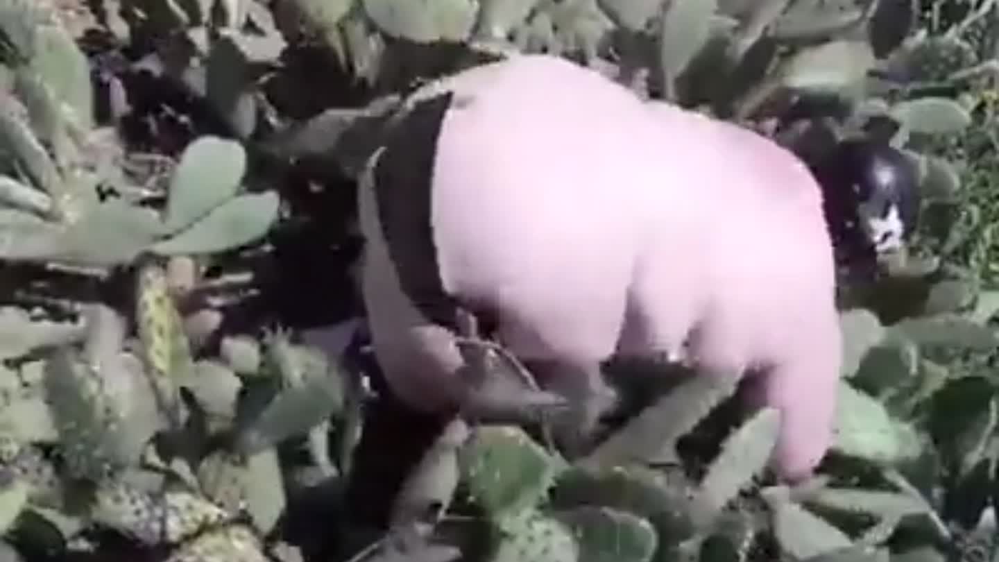 搞笑内涵图朋友圈分享 .