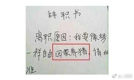 囧哥:望子成龙是真的?研究称龙年出生的孩子更有出息 囧哥:望子成龙是真的?研究称龙年出生的孩子更有出息图片