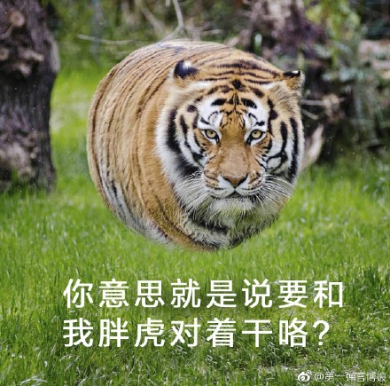 囧哥:不如叫传送门!中国将造 囧哥:不如叫传送门!中国将造