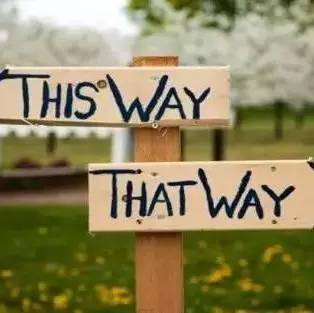 天真的福特选择了一只“狡猾的狐狸”