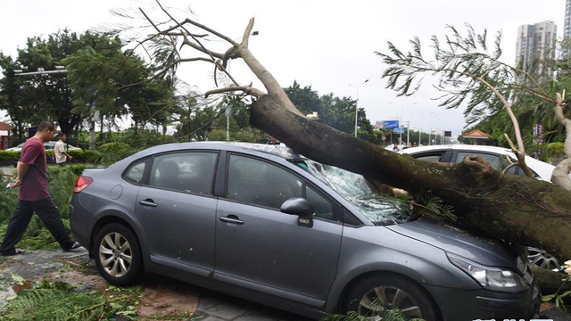 车辆遇天灾受损该如何理赔 买了全险也不够 车辆遇天灾受损该如何理赔 买了全险也不够