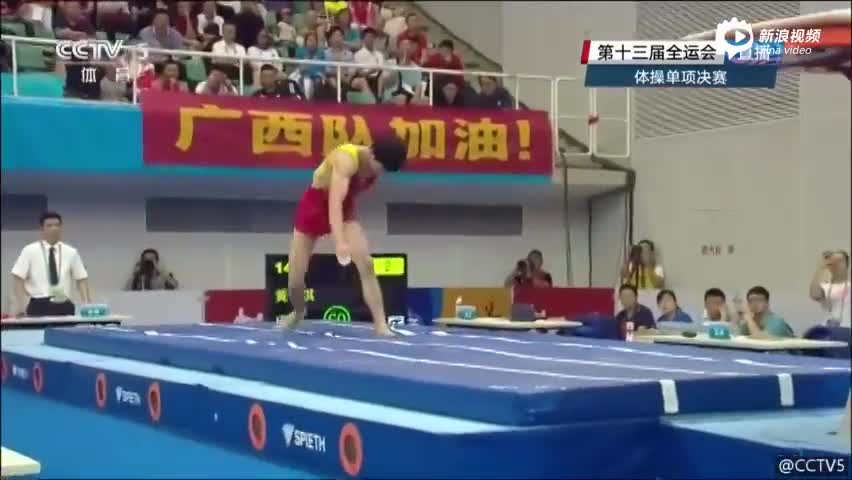 广西华纳集团董事长
