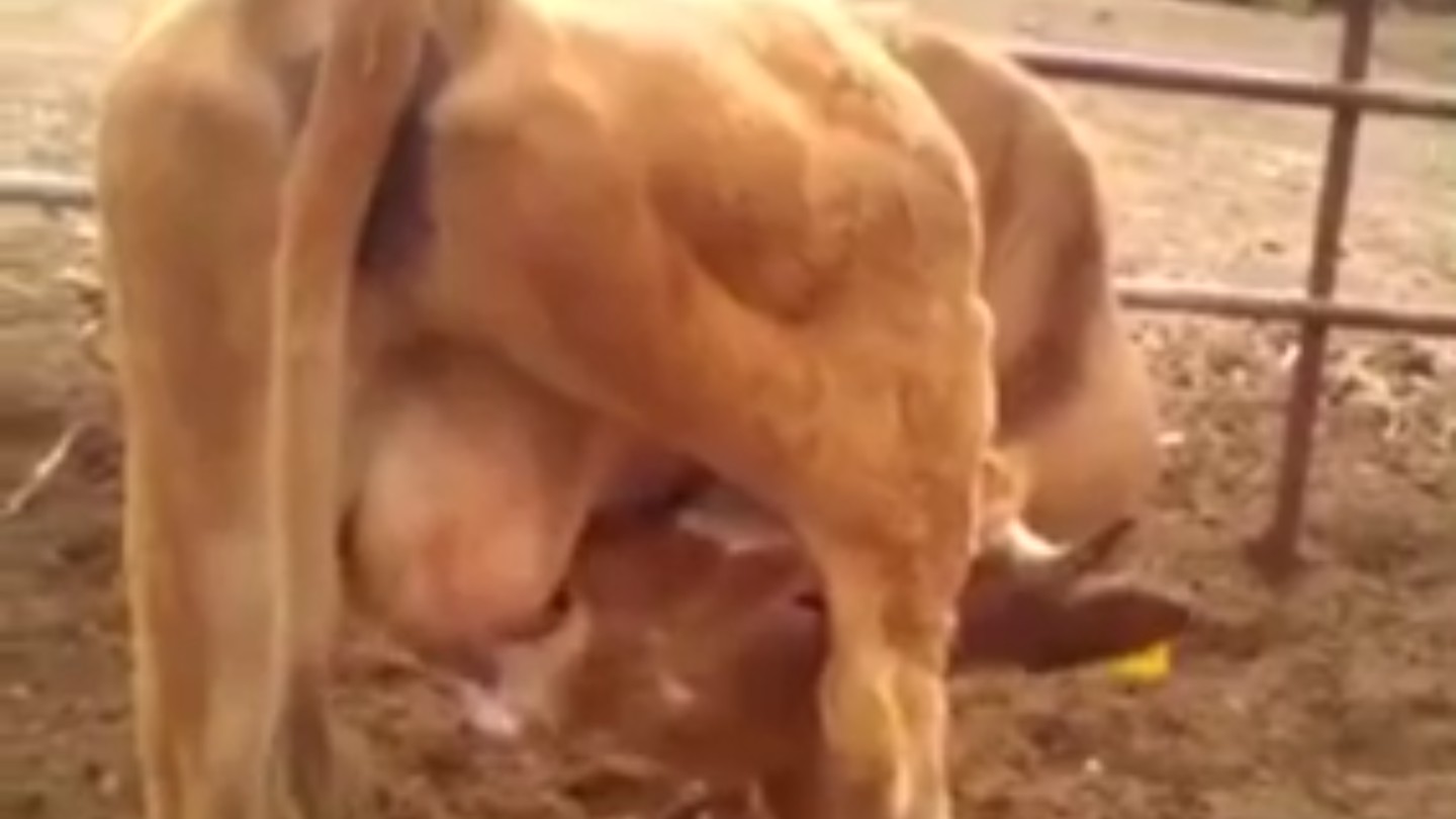 搞笑内涵图朋友圈分   .