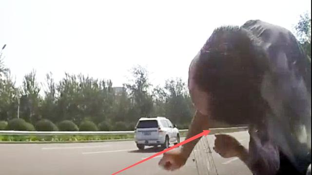 电动车逆行不看车道，撞上右转车辆，挺严重这次跟我没有关系吧