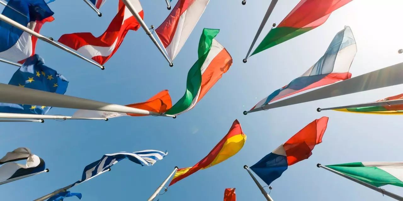 如何办理国际驾照?