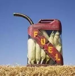 乙醇燃料车成功上位，新能源多元化或成主流 | 燃油车倒计时