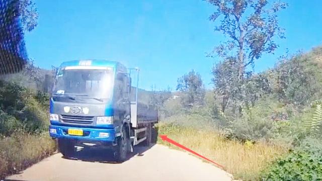 狭路相逢大卡车，卡车司机一个漂移直接将车刹住，绝对的老司机