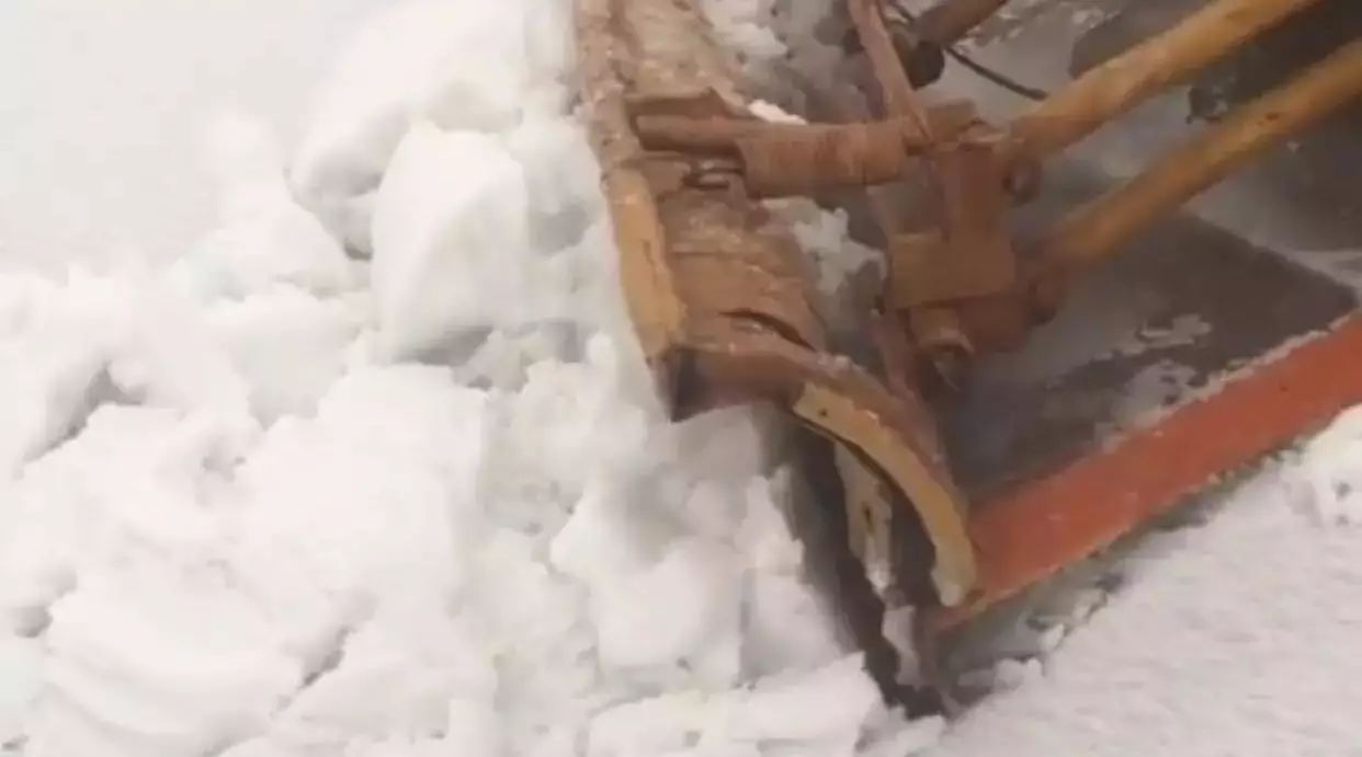 视频：长白山正在下大雪