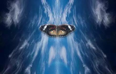 小滚针撂倒汽车业,200多个车型将停产?