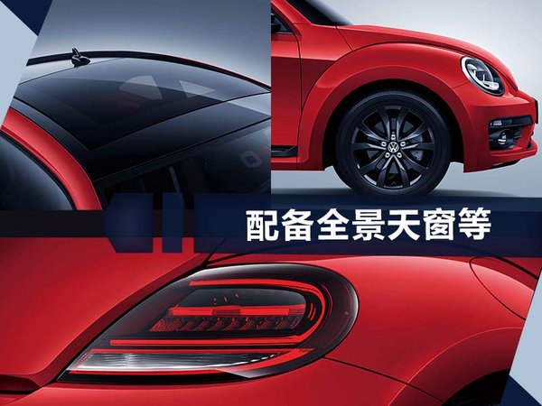 大众甲壳虫-图2