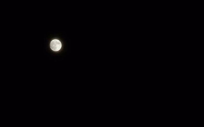 今夜，共享明月！