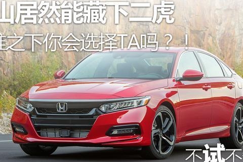 一山居然能藏下二虎 两难之下你会选择TA吗？！