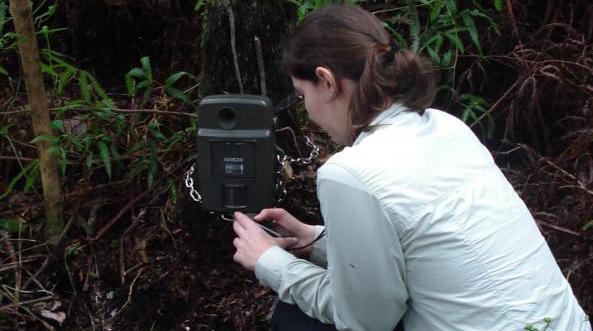 黑科技,前瞻技术,ViaFauna车辆动物规避,ViaFauna动物探测电子系统,ViaFauna雷达探测动物 黑科技,前瞻技术,ViaFauna车辆动物规避,ViaFauna动物探测电子系统,ViaFauna雷达探测动物