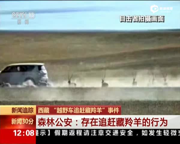 “越野车追赶藏羚羊”事件