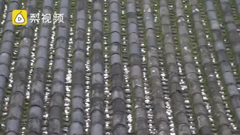 囧哥:贫穷限制我想象力!梦幻婚礼现场哪办的 新郎家 囧哥:贫穷限制我想象力!梦幻婚礼现场哪办的 新郎家图片