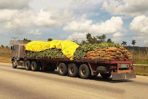 卡车司机才是最爱国的人,同意的转起!