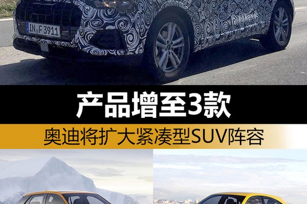 奥迪将扩大紧凑型SUV阵容 产品增至3款