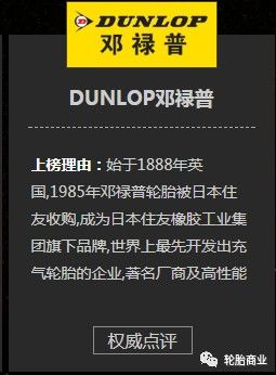 2017年汽车轮胎满意度排行