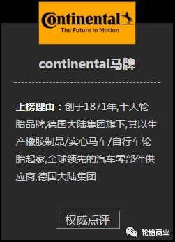 2017年汽车轮胎满意度排行