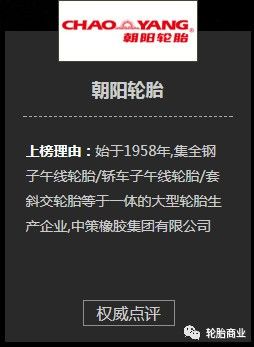 2017年汽车轮胎满意度排行