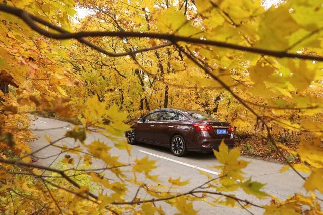 在第三季节油赛中 看懂轩逸为何能长盛不衰