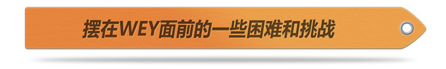 狠捏市场痛点 看WEY如何4个月便销量过万