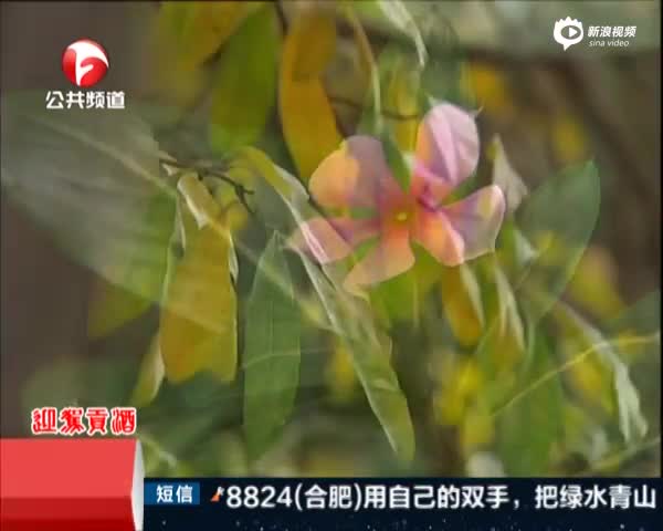 肥西县有多少人口_肥西县上派镇规划图(2)