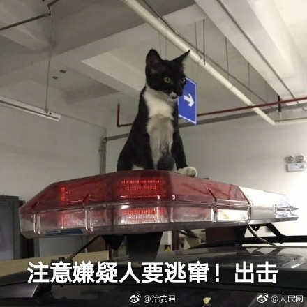 囧哥:世界杯场地不合格 战斗民族在球场外搭临时看台 囧哥:世界杯场地不合格 战斗民族在球场外搭临时看台图片
