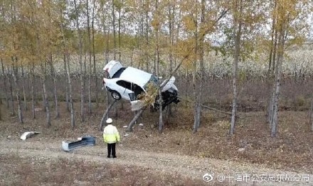 囧哥:世界杯场地不合格 战斗民族在球场外搭临时看台 囧哥:世界杯场地不合格 战斗民族在球场外搭临时看台图片