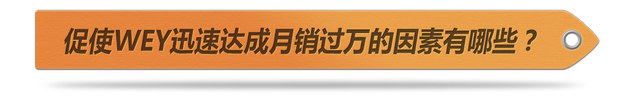 狠捏市场痛点 看WEY如何4个月便销量过万
